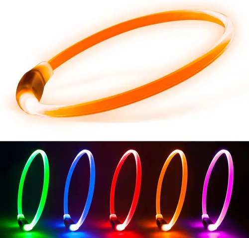 Vizpet - Collares para perros pequeños, collar ajustable con luz LED, recargable por USB, collar de seguridad brillante para gatos y perros (naranja)