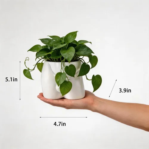 Miniatura 2 de Jarrones de cuerpo para decoración - Maceta de pene, macetas de cuerpo masculino - Jarrón de pene gracioso, maceta para suculentas y cactus