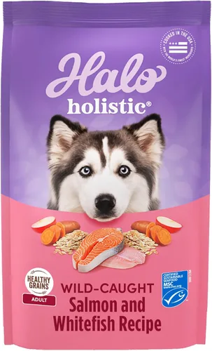 Miniatura 12 de Halo Holistic - Comida para perros con fórmula de pollo y arroz integral sin jaula de cereales saludables, salud digestiva completa, croquetas