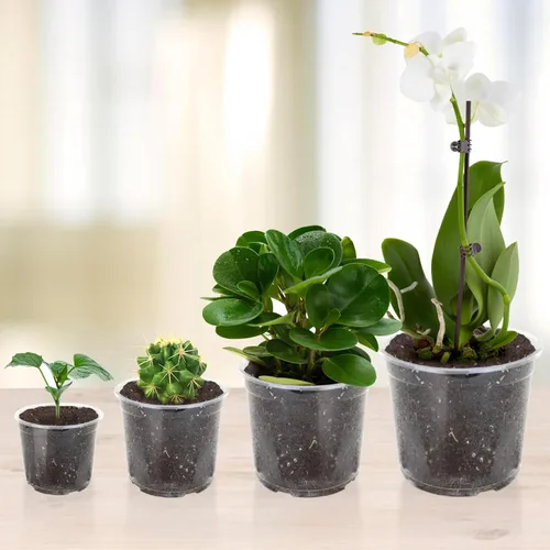 Miniatura 6 de OUPSAUI Paquete de 36 macetas transparentes de vivero de 7/6/5/3.5 pulgadas con drenaje, macetas transparentes para plantas, maceta de plástico