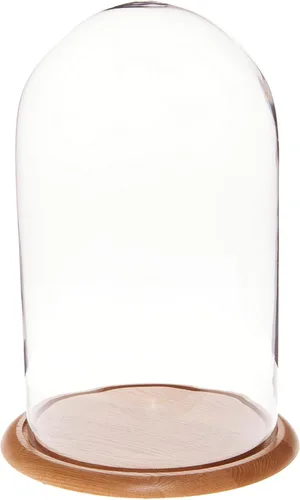 Miniatura 6 de Plymor 11.75" x 20" Pantalla de cristal Dome Cloche (base de nogal)