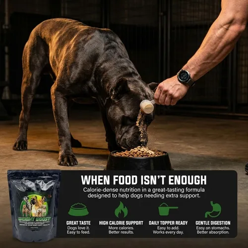 Miniatura 5 de CPN Weight Boost Suplemento para ganar músculo para perros con alto contenido de calorías – Proteína de suero de grado humano, grasas saludables