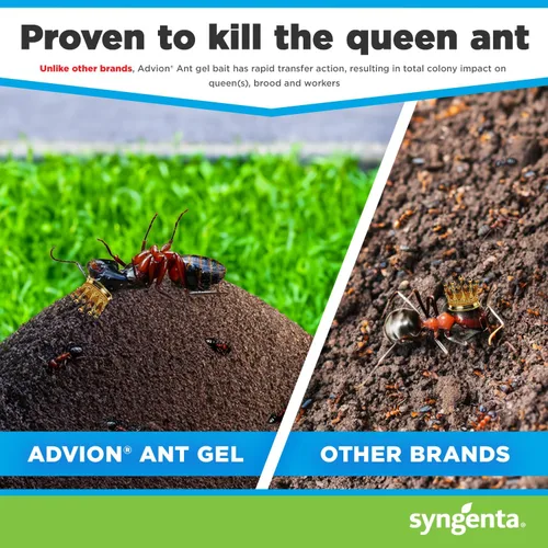 Miniatura 5 de Syngenta Advion Ant Gel Station Insecticida, cebo de gel listo para usar con el ingrediente activo Indoxacarb, cebo para hormigas