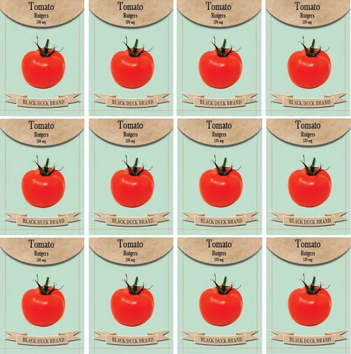 Miniatura 21 de Juego de 12 paquetes de semillas de verduras de roqueta de rúcula, crea un jardín de lujo, todas las semillas son reliquias, 100% sin OMG
