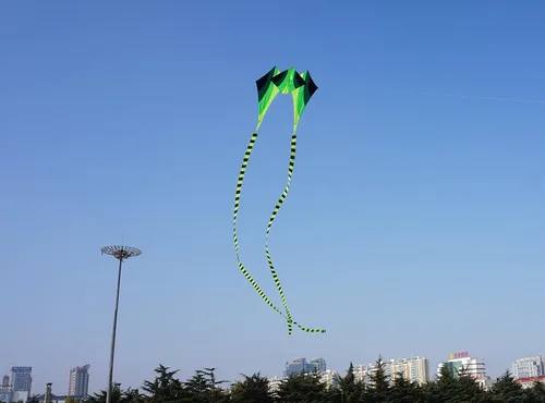 Miniatura 4 de Besra Cometa grande de rana fluida de diamante 3D de una sola línea con 2 colas largas, deportes divertidos al aire libre para niños y adultos