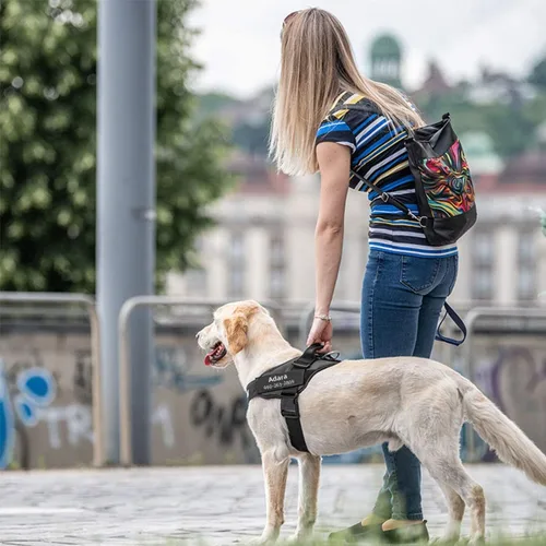 Miniatura 6 de HOTGOL Arnés personalizado para perro, chaleco personalizado sin tirones para mascotas con nombre y número de teléfono para evitar tirones, tirones
