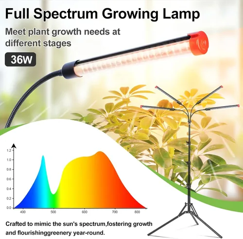 Miniatura 2 de FRGROW Luz de crecimiento de 4 cabezales con soporte para plantas altas de interior, árbol bonsái, lámparas brillantes de espectro completo