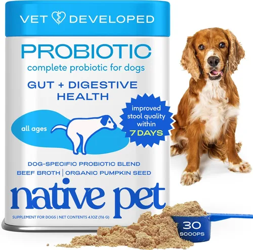 Native Pet Probióticos para Perros – Probióticos en polvo para perros para la salud digestiva, apoyo intestinal y refuerzo inmunológico – Polvo
