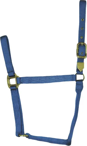 Miniatura 13 de Hamilton Caballo de nailon de 1 pulgada, tamaño pequeño (500-800 libras), azul baya