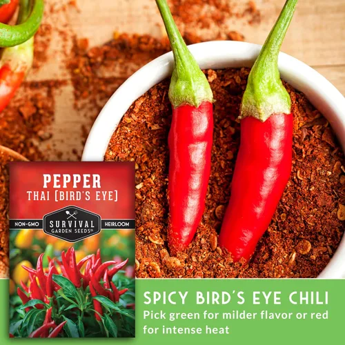 Miniatura 4 de Semillas de chile tailandés para plantar Pimientos picantes de ojo de pájaro – Chile picante sin OMG para cocina picante y jardines