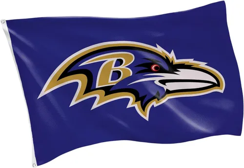 Miniatura 20 de Team Sports America NFL Buffalo Bills - Bandera duradera de 3 x 5 para exteriores con ojales, bandera y pancarta resistentes para jardín al aire