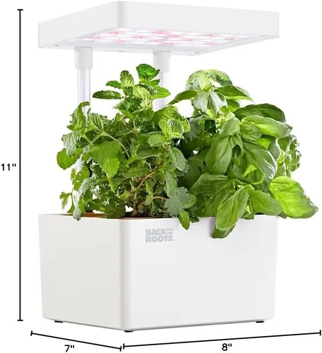 Miniatura 5 de Back to the Roots v1.0 Kit de cultivo hidropónico, Modelo 2022