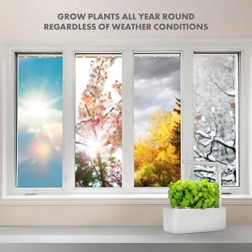 Miniatura 5 de Click & Grow Smart Garden 3 - Kit de jardinería para interiores (incluye cápsulas de albahaca)