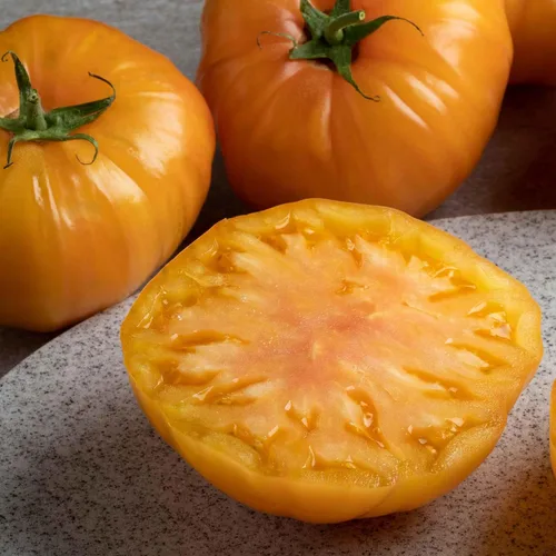 Miniatura 17 de Eden Brothers Semillas de tomate – Semillas de caqui sin OMG para plantar, paquete Semillas de vegetales de bajo mantenimiento, plantas durante