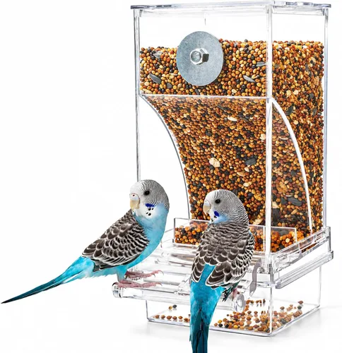 Rypet Comedero Automático para Pájaros Sin Desorden Contenedor de Comida Transparente Jaula Comedero de Acrílico para Loros Accesorios para Pájaros