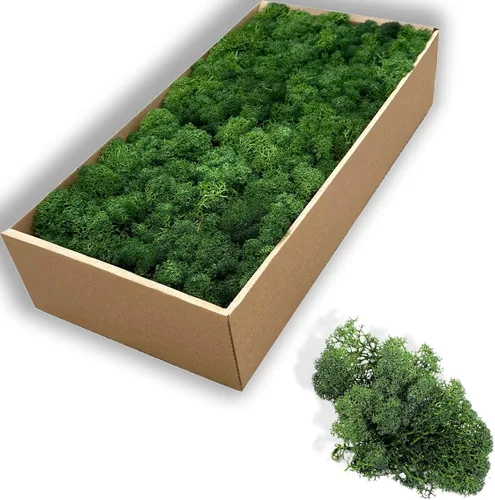 Miniatura 9 de Musgo artificial preservado de 1.1 libras para plantas en maceta, musgo verde fresco natural para manualidades, musgo artificial, orquídea floral