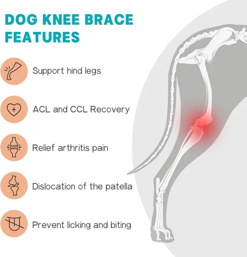 Miniatura 6 de Rodillera para perro para pierna trasera desgarrada del ligamento cruzado anterior, soporte ajustable para pierna trasera con 2 estabilizadores