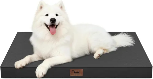 Miniatura 17 de Cama ortopédica de felpa para perros y cachorros medianos, camas impermeables para perros de 30 x 20 pulgadas con funda extraíble lavable, tapete