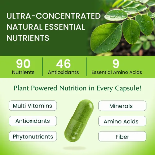 Miniatura 3 de Organic Veda Cápsulas de hoja de Moringa de 1200 mg, 120 unidades – Polvo puro de Moringa Oleifera en polvo de hojas enteras verde suplemento súper