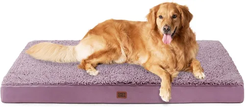 Miniatura 86 de EHEYCIGA Cama ortopédica de espuma para perros grandes, 35 pulgadas de largo x 23 pulgadas de ancho x 3.5 pulgadas de alto, gris claro