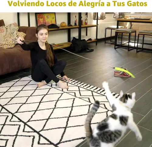 Miniatura 7 de MeoHui Juguetes para gatos de interior, juguete interactivo para gatos, 2 juguetes retráctiles y 9 juguetes de plumas de gato, juguetes divertidos