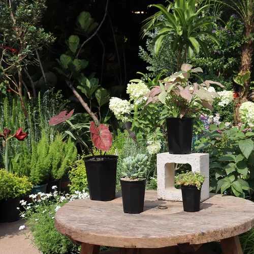 Miniatura 6 de Paquete de 14 macetas de plástico negro profundo de 4.40 pulgadas para vivero y plántulas, contenedor redondo para trasplante, corte, suculentas