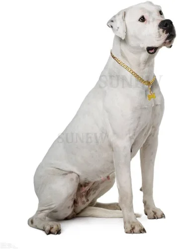 Miniatura 5 de SUNEW Collar para caminar con diseño de placa de identificación de perro con hebilla segura, collar de cadena de eslabones cubanos resistente a