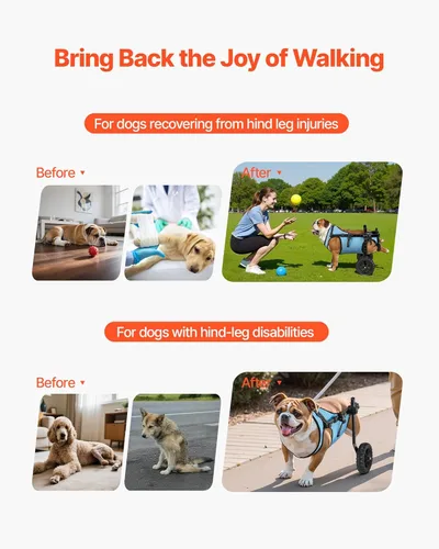 Miniatura 3 de VEVOR Silla de ruedas para perros para patas traseras, silla de ruedas ligera de 2 ruedas para mascotas, altura, ancho y longitud ajustable, carrito