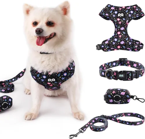 QQPETS Arnés para perro con correa y soporte para bolsa de excrementos, juego de 4 piezas, ajustable sin tirones, chaleco acolchado de malla suave