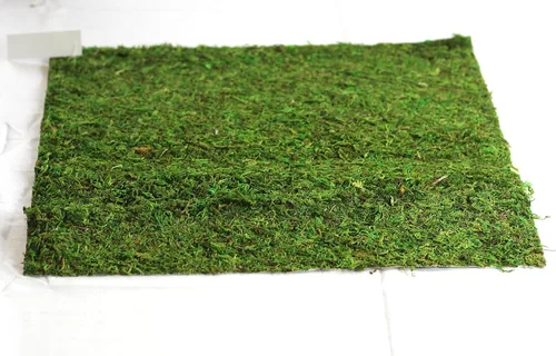 Miniatura 16 de Alfombra y tapetes de musgo preservado (12 pulgadas x 6 pies)