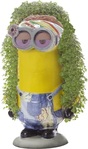 Miniatura 3 de Chia Pet Kevin - Minions con paquete de semillas, maceta decorativa de cerámica, fácil de hacer y divertida de cultivar, regalo novedoso, perfecto