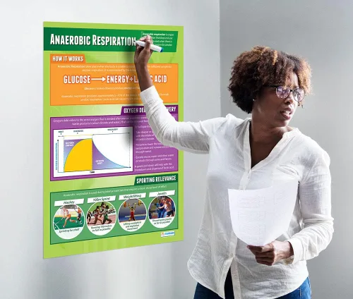 Miniatura 3 de Daydream Education Respiración anaeróbica Pósteres de PE Papel laminado brillante que mide 33 x 23.5 pulgadas Gráficos de educación física