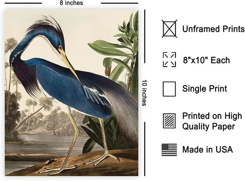 Miniatura 2 de Poster Master Póster vintage de James Audubon – Impresión de garza de Luisiana – Arte de aves de América – Arte de aves – Regalo para hombres