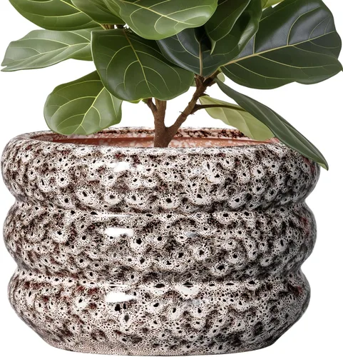 Miniatura 8 de Maceta de cerámica SQOWL para plantas de 8 pulgadas - Maceta de interior con orificio de drenaje para plantas de exterior, maceta floral moderna