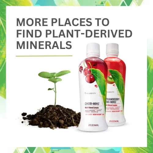 Miniatura 5 de Youngevity Minerales líquidos derivados de plantas, más de 77 minerales naturales sin alterar, 19,000 mg de sólidos minerales vegetales, esquisto