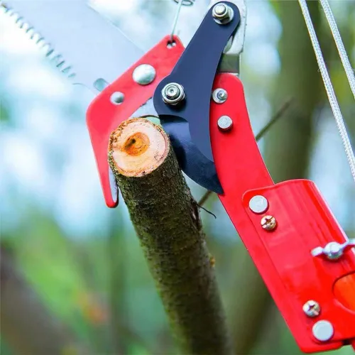 Miniatura 7 de Cabezal de podadora extensible de rama de sierra de poste para poda de poda de árboles