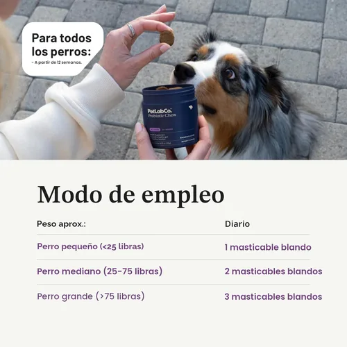 Miniatura 5 de PetLab Co. Probióticos para perros, ayudan a la salud intestinal, la diarrea ocasional, la salud digestiva y las alergias estacionales, sabor a