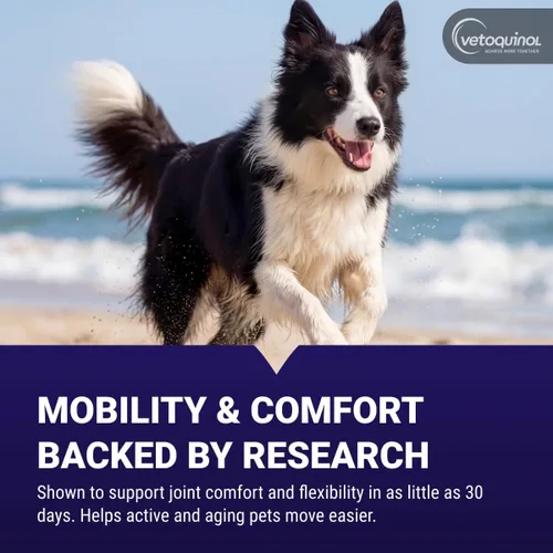 Miniatura 4 de Vetoquinol Flexadin - Suplemento avanzado de cadera y articulación con colágeno no desnaturalizado para perros, una masticable al día para el apoyo
