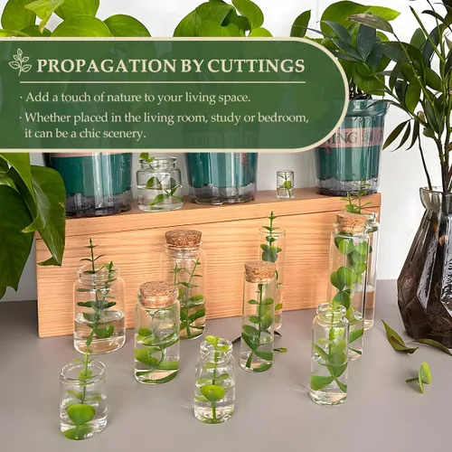 Miniatura 6 de JIUYUE 96 botellas pequeñas de vidrio de 0.3 fl oz con corcho, botellas de almacenamiento de aceite esencial (0.35 oz-1.18 x 1.18 pulgadas)