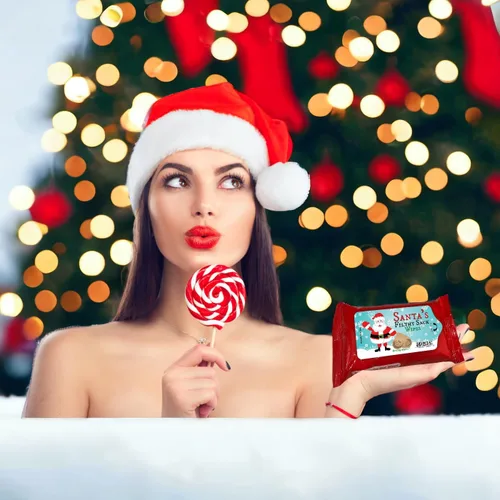 Miniatura 3 de Santa's Filthy Sack Wipes - Toallitas húmedas navideñas para amigos, tamaño de bolsillo, sin alcohol