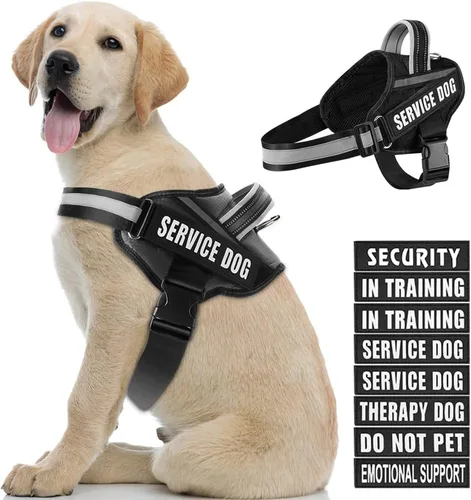 Miniatura 31 de Juego de arnés y parches para chaleco de perro, arnés para perro de servicio en entrenamiento Animire con 10 parches para perros, chaleco Rosa