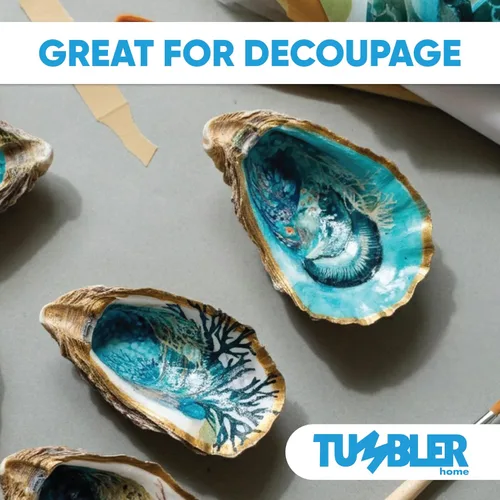 Miniatura 6 de Tumbler Home Conchas de ostras para manualidades, 20 unidades, conchas de ostras grandes de 3 a 4 pulgadas para manualidades, decoraciones, adornos