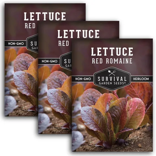 Miniatura 11 de Semilla de lechuga romana roja para plantar, 1 paquete con instrucciones para plantar y cultivar lechuga de hoja roja en tu huerto, variedad