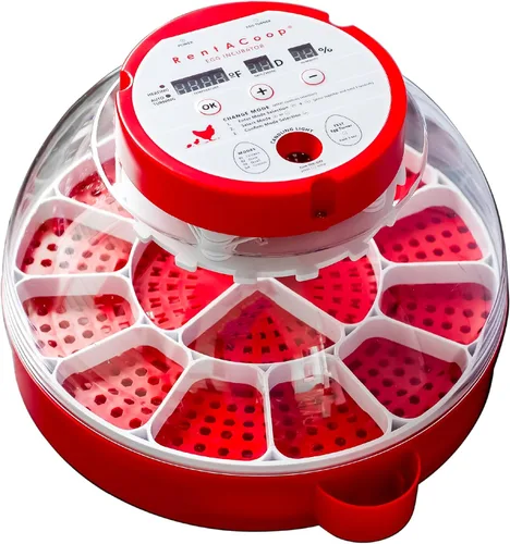 RentACoop Incubadora inteligente de 16 huevos: controlada por aplicación, giro automático, luz de vela integrada perfecta para pollos, patos y