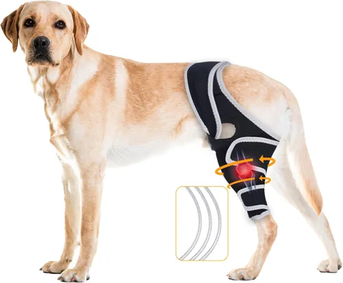 Miniatura 9 de Rodillera ajustable para perros – Soporta lesiones de Acl y Ccl, ayuda a aliviar el dolor en las articulaciones, estabiliza los ligamentos, mejora