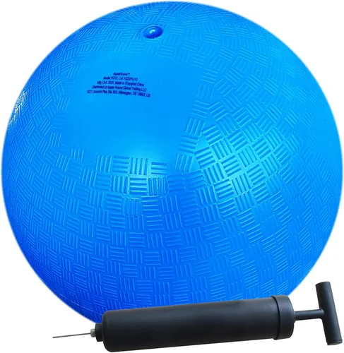 AppleRound Pelota de patio de 10 pulgadas con bomba de aire, pelota de dodgball, balonmano, pelota de patada para campamentos y escuelas (azul)
