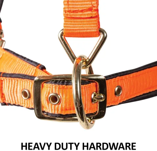 Miniatura 5 de Dura-Tech Cabestro de caballo totalmente acolchado de lujo Superposición de tela de nailon de doble capa de 1 pulgada Hardware resistente