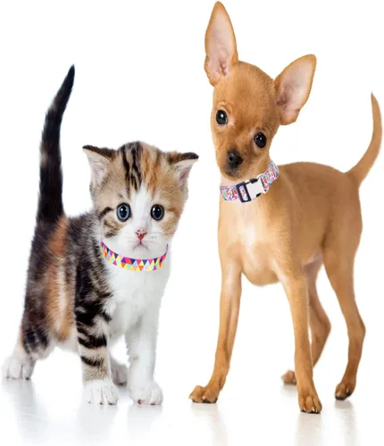 Miniatura 4 de Lindo collar para perros XS, pequeños, medianos y grandes, collar de nailon suave para mascotas, con estampado 3D multicolor, collares ajustables 5
