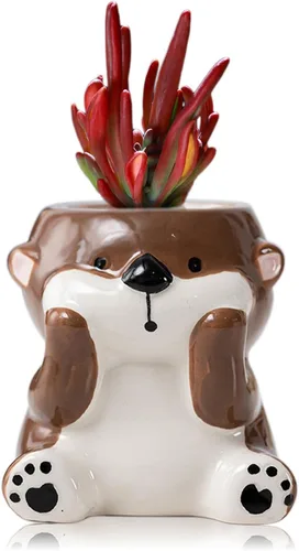 Miniatura 13 de DIYOMR Bonita maceta de animales, mini maceta de cerámica con forma de animal de dibujos animados para suculentas, soporte para plantas de aire