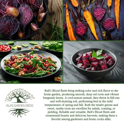 Miniatura 6 de Bull's Blood Semillas de remolacha para plantar, más de 100 semillas de reliquia por paquete, semillas de jardín de Isla